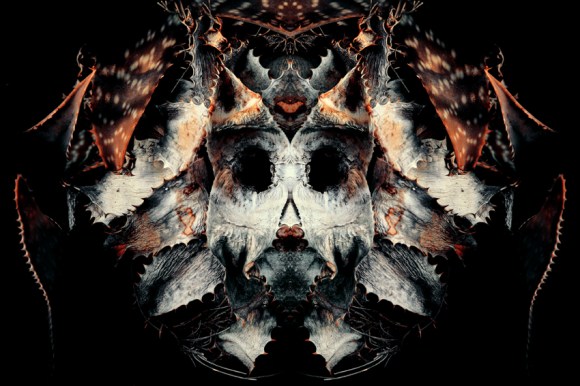 En un principio el casco, incluido entre los pertrechos militares, era un tocado protector hecho de materiales duraderos con el cuero, el metal o el cuerno. Surgido del espíritu del conflicto militar como guerra ritual o de inspiración divina, el casco se solía embellecer para expresar la posesión de temibles poderes mágicos, atributos animales o el patrocinio de alguna deidad en particular. En términos míticos, Hades, el Señor de los Muertos griego, es representado con un casco de invisibilidad que sugiere la presencia desapercibida de la muerte en la vida, de la que se suponía que protegía el casco del mortal. Se le asocia con los poderes místicos de la cabeza y representa un objeto codiciado, un contenedor de mana