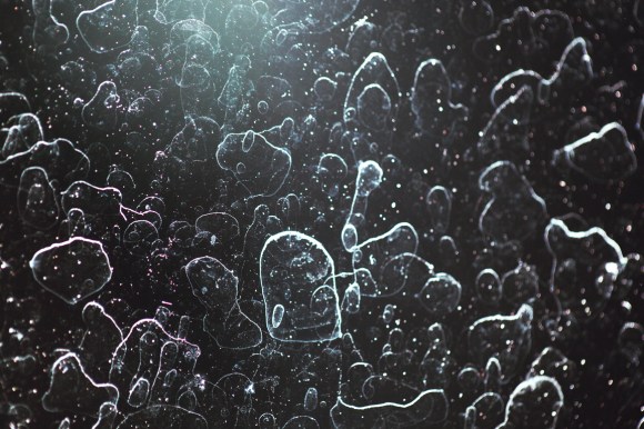 Creation, Daniel Ospina