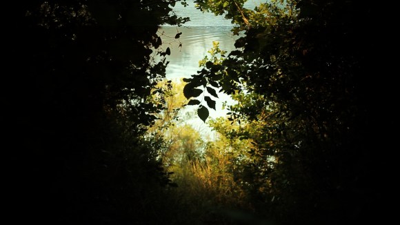 el Huevo o la Matriz. Daniel Andrés Ospina López, Girona