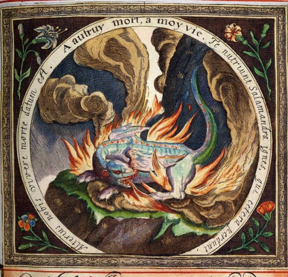 Se convirtió en un símbolo del Fuego debido a que el animal secreta de su piel una sustancia que le hace resistente al fuego durante unos instantes. Es también el símbolo de la ablución filosófica. En la Atalanta Fugiens de Michael Maier se lee en el epigrama 29: “Donde la salamandra vive más poderosa es en el fuego ardiente, no teme en nada las acechanzas de Vulcano. De igual modo la Piedra tampoco rechaza los crueles incendios de las llamas, pues nació en el fuego permanente. Aquella, que es fría, apaga y sale libre. Pero ésta es caliente, y el calor, su semejante, le ayuda.” 