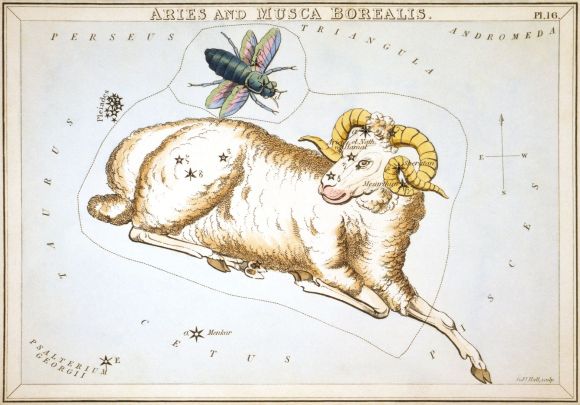 Aries and Musca Borealis as depicted in Urania's Mirror, a set of constellation cards published in London c.1825